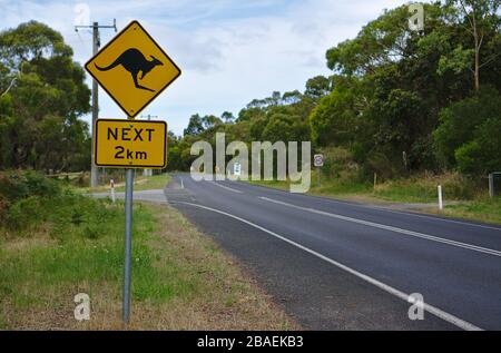 Primo piano vista di Kangaroo prossimo 2 km di cartello sulla strada in Australia Foto Stock