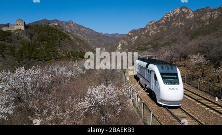 Pechino, Cina. 27 marzo 2020. La foto aerea scattata il 27 marzo 2020 mostra un treno suburbano che corre vicino alla Grande Muraglia di Juyongguan a Pechino, capitale della Cina. Credit: JU Huanzong/Xinhua/Alamy Live News Foto Stock