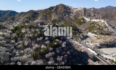 Pechino, Cina. 27 marzo 2020. La foto aerea del 27 marzo 2020 mostra un treno suburbano che corre vicino alla Grande Muraglia di Shuiguan a Pechino, capitale della Cina. Credit: JU Huanzong/Xinhua/Alamy Live News Foto Stock