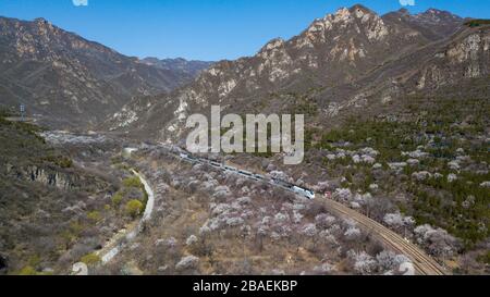 Pechino, Cina. 27 marzo 2020. La foto aerea scattata il 27 marzo 2020 mostra un treno suburbano che corre vicino alla Grande Muraglia di Juyongguan a Pechino, capitale della Cina. Credit: JU Huanzong/Xinhua/Alamy Live News Foto Stock