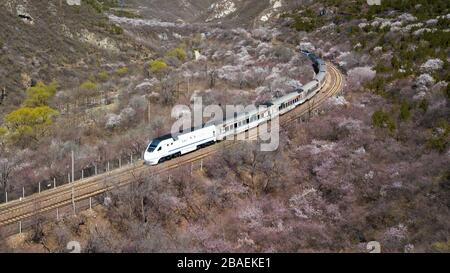 Pechino, Cina. 27 marzo 2020. La foto aerea scattata il 27 marzo 2020 mostra un treno suburbano che corre vicino alla Grande Muraglia di Juyongguan a Pechino, capitale della Cina. Credit: JU Huanzong/Xinhua/Alamy Live News Foto Stock