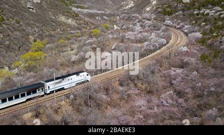 Pechino, Cina. 27 marzo 2020. La foto aerea scattata il 27 marzo 2020 mostra un treno suburbano che corre vicino alla Grande Muraglia di Juyongguan a Pechino, capitale della Cina. Credit: JU Huanzong/Xinhua/Alamy Live News Foto Stock