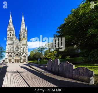 Cattedrale di St. Fin barre, Cork, Irlanda Foto Stock