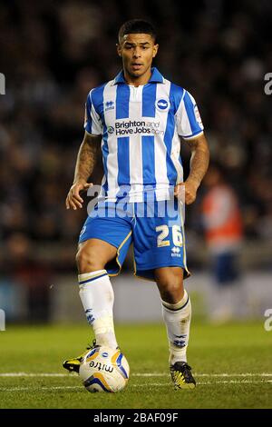 Liam Bridcutt, Brighton & Hove Albion Foto Stock