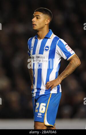 Liam Bridcutt, Brighton & Hove Albion Foto Stock