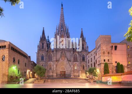 Cattedrale della Santa Croce e Santa Eulalia durante l'ora blu del mattino, Barri Gothic Quarter a Barcellona, Catalogna, Spagna Foto Stock