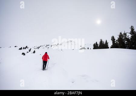 Turisti in giacca rossa con il trekking pole al paesaggio montano invernale a nebbioso giorno Foto Stock