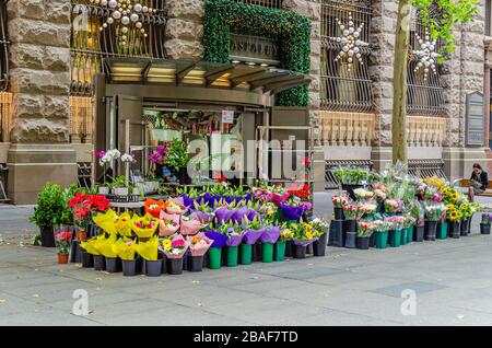 A small flower shop in front of Paspaley Building, Martin Place, Sydney Foto Stock
