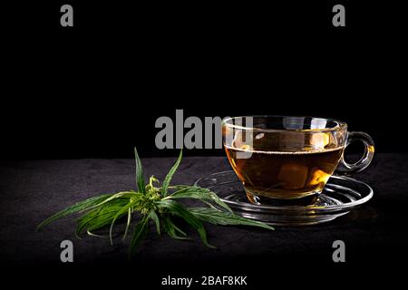 Tè di cannabis in una tazza di vetro trasparente con una foglia di marijuana verde e gambo su tavola di legno sullo sfondo nero, erbe e bevande sane concetto Foto Stock