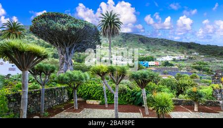 Paesaggio impressionante di Tenerife, isole canarie, Spagna. Foto Stock