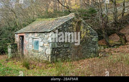 Rifugio di pastori con tetto in ardesia abbandonato di Buttermere Foto Stock