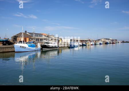 Barche da pesca nel porto di Hirtshals; Danimarca Foto Stock