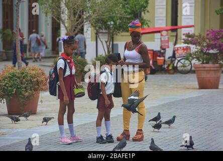 Nutrire i piccioni in Plaza Vieja, l'Avana, Cuba Foto Stock