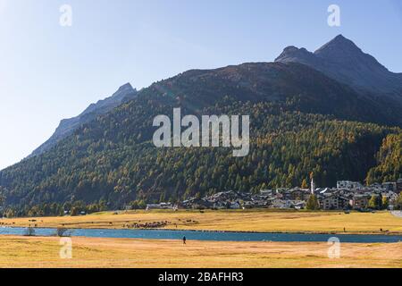Natura, montagne e foreste delle alpi svizzere durante una giornata autunnale vicino al Lago Silvaplana. Foto Stock