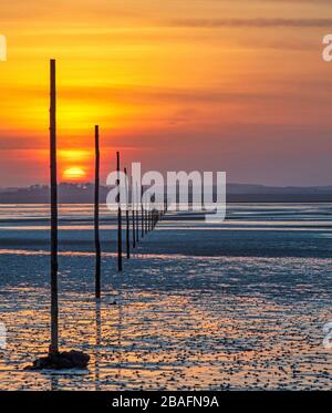 Tramonto sul Pilgrim's Causeway a Lindisfarne, Northumberland, Inghilterra, Regno Unito Foto Stock