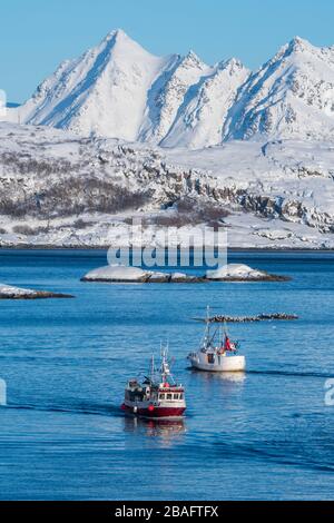 Barche da pesca che navigano nell'ingresso del porto di Svolvaer, una città di pescatori nelle Isole Lofoten, Nordland County, Norvegia. Foto Stock