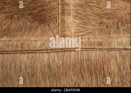Texture e sfondo sul tetto delle case in erba. Comunemente trovato in Thailandia. Foto Stock