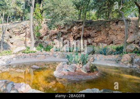 Piccolo stagno in il Castello di Chapultepec di Città del Messico Foto Stock