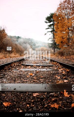 Camminando lungo i vecchi binari del treno di legno su un giorno piovoso umido di autunno circondato da foglie di caduta di colore arancione che conducono nelle montagne nebbiose Foto Stock