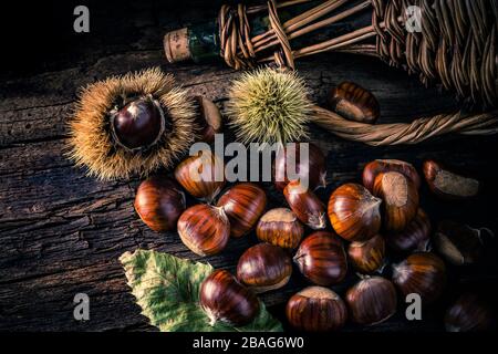 castagne appena raccolte - primo piano Foto Stock