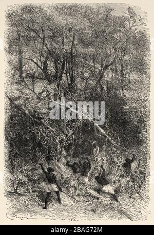 Gli uomini della spedizione che si rompono attraverso la fitta giungla con gli scythes. Le ultime Giornali di David Livingstone, missionario ed esploratore scozzese, Foto Stock