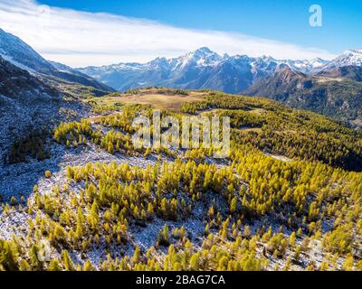 Valmalenco (IT) - antenna autunnale panoramica dall'Alpe Prabello Foto Stock