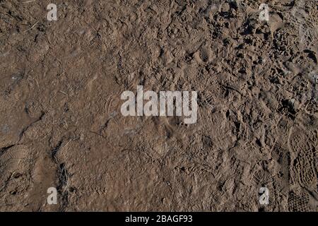 primo piano di fondo di fango umido marrone scuro Foto Stock