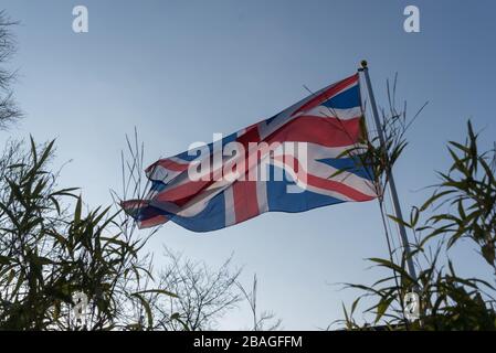 Bandiera di Union Jack che batte nel cielo azzurro del vento e gli alberi sullo sfondo Foto Stock