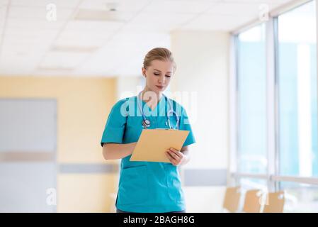 Ritratto di una giovane infermiera femminile in ospedale Foto Stock