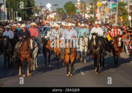 Protesta e celebrazione dopo l'inizio della fiera del bestiame tenutasi nella popolare cittadina di Hermosillo nello stato di sonora. La parata che si tiene nelle strade della città presenta animali e regine di bellezza. Foto Stock