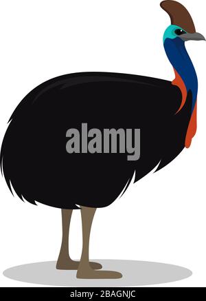 Uccello Cassowary, illustrazione, vettore su sfondo bianco Illustrazione Vettoriale