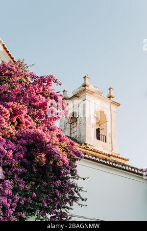 Bougainvillea in piena fioritura vicino ad una vecchia chiesa, Foto Stock