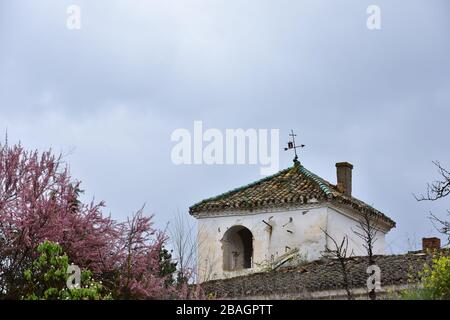 Casa abbandonata e dilapidiata tra alberi in bianco e nero Foto Stock