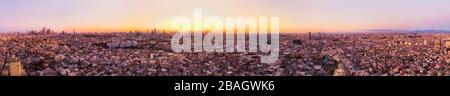 Ampio panorama aereo dell'area urbana nella città di Tokyo, da Shinjuku al lontano Monte Fuji all'alba. Foto Stock
