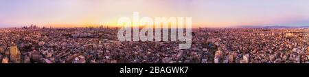 Area urbana infinita della città di Tokyo in ampio panorama aereo da Shinjuku al lontano Monte Fuji all'alba. Foto Stock