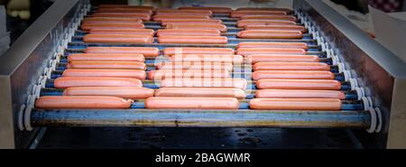 Hot dog alla griglia in occasione di un evento all'aperto. Foto Stock