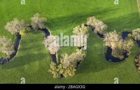 fiume Salzbach vicino al fiume Ahse a Sueddinker, 2013, vista aerea, Germania, Nord Reno-Westfalia, Sueddinker Foto Stock