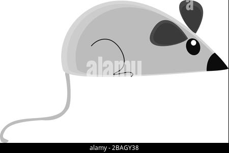 Piccolo mouse, illustrazione, vettore su sfondo bianco Illustrazione Vettoriale
