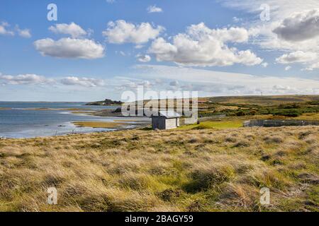 Darwin Harbour, Darwin, East Falkland, Falkland Islands, Falklands Foto Stock