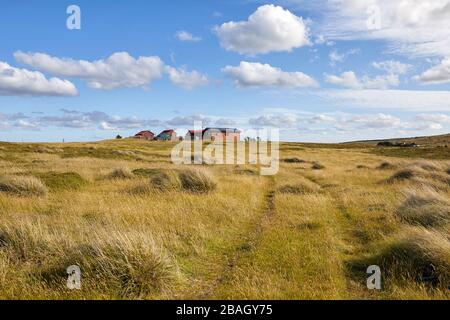 Darwin Harbour, Darwin, East Falkland, Falkland Islands, Falklands Foto Stock