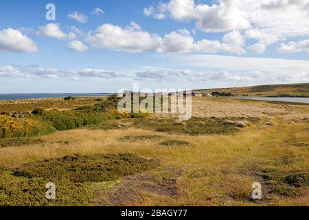 Darwin Harbour, Darwin, East Falkland, Falkland Islands, Falklands Foto Stock