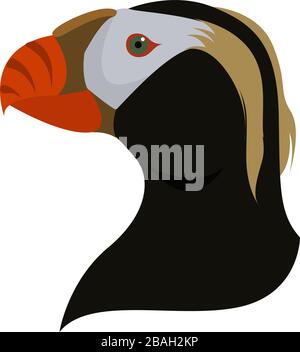 Puffin con tufted, illustrazione, vettore su sfondo bianco Illustrazione Vettoriale