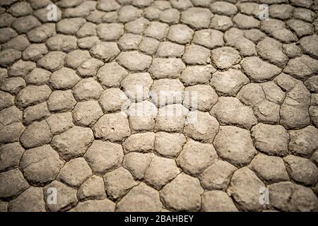 Massa incrinata nel DVNP Foto Stock