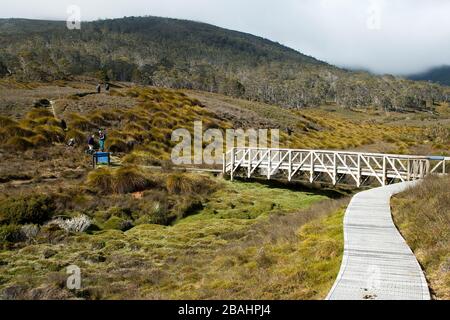 Cradle Mountain Tasmania, vista sul prato erba pulsante con una passerella, con gli escursionisti in lontananza Foto Stock