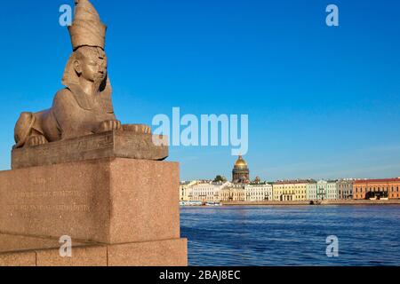 Scultura di Sphinx sul fiume Neva, che si affaccia sulla Cattedrale di Sant'Isacco a San Pietroburgo, Federazione Russa Foto Stock