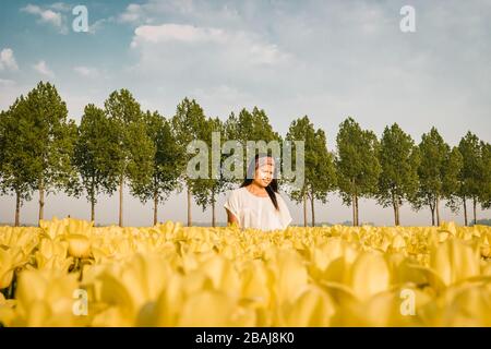 Olandese tulipano campo, drone vista di giallo tulipani campo Paesi Bassi, felice giovane coppia uomo e donna in campo di fiori Foto Stock