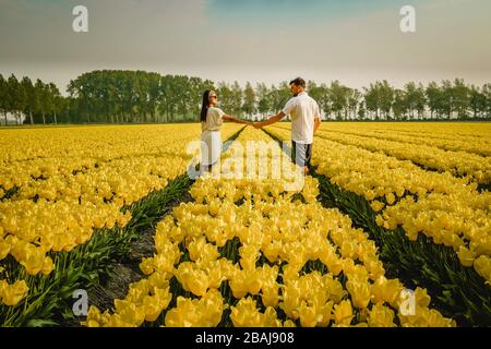 Olandese tulipano campo, drone vista di giallo tulipani campo Paesi Bassi, felice giovane coppia uomo e donna in campo di fiori Foto Stock