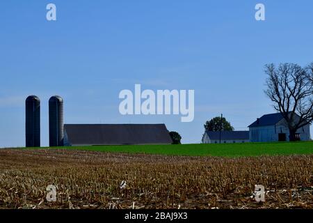 Panoramica dei campi di mais appena raccolti con ceppi che si stagliano fuori e la fattoria con silos sullo sfondo Lancaster County Pennsylvania Foto Stock