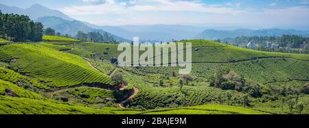 Vista panoramica sulle montagne e sulle piantagioni di tè. Preso durante una mattina di primavera soleggiata al punto di vista di Chithirapuram, vicino Munnar, Kerala, India Foto Stock