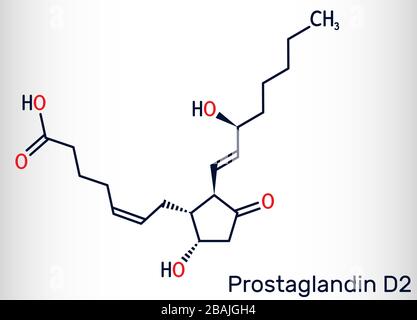 Prostaglandina D2 , PGD2 , prostaglandina, molecola C20H32O5. Formula chimica scheletrica. Illustrazione Foto Stock